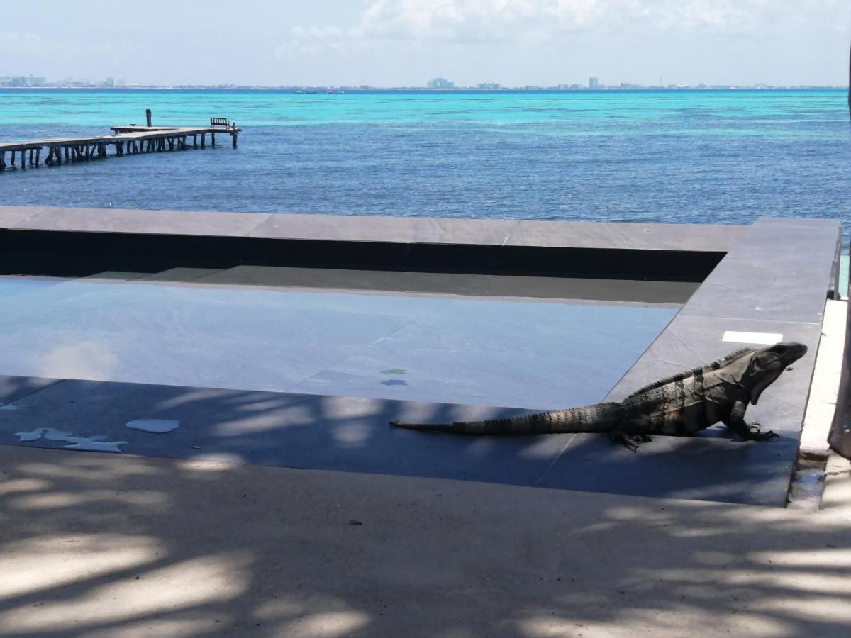 Maria'S Kan Kin Isla Mujeres Exteriör bild